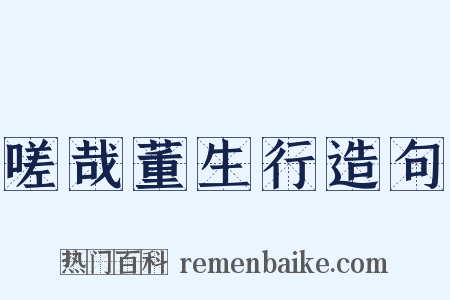 嗟哉董生行造句是什么意思的图片